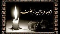 داور بین‌المللی کشتی درگذشت