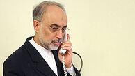 نگرانی صالحی نسبت به اخراج ایرانیان از امارات