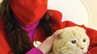 گربه بامزه بهنوش طباطبایی + عکس