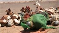علم روی زمین یعنی سه ساله، کاروان، فریاددلدار است