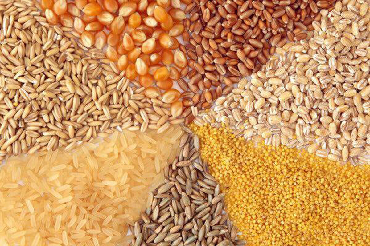 برای تأمین نهاده‌های دامی در ماه های آینده نگرانیم