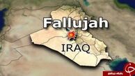 شمارش معکوس آزاد سازی مرکز استان "نینوا" + نقشه و جزئیات