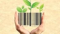 رکود وبیکاری نتیجه عدم حمایت کالای ایرانی