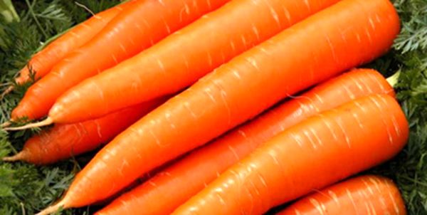 قیمت هویج هم لاکچری شد