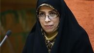 امین زاده:شهروندان باید در قبال کالا‌ها و محصولات بی‌کیفیت مطالبه گر باشند 