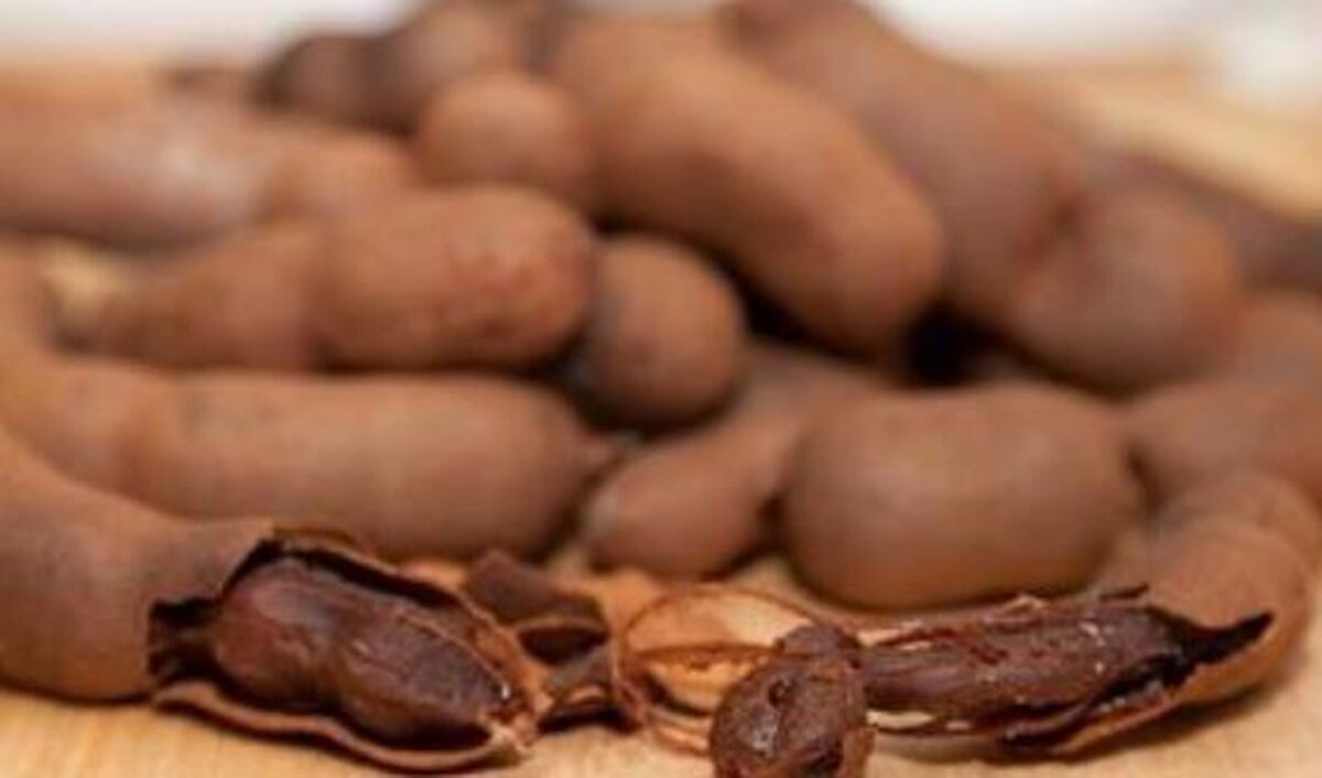 خواص تمر هندی در پیشگیری از دیابت و آرتروز