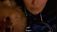 مریم‌ معصومی و سگش + عکس