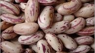 لوبیا چیتی های خارجی مهمان سفره ایرانی