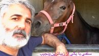 مهدی صبایی در کنار اسبی زیبا + عکی