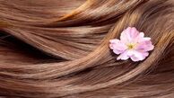 دلایل طاسی پس از ابتلا به کووید ۱۹