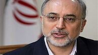 صالحی: مهمترین پروژه سازمان انرژی اتمی ایتر و گداخت است