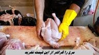 مرغ را گرانتر از این قیمت نخرید 