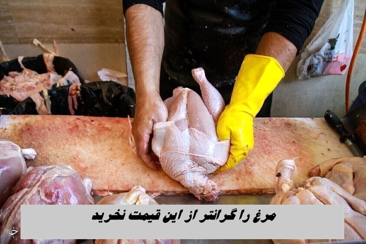 مرغ را گرانتر از این قیمت نخرید 
