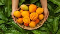 میوه چاق کننده که برای دیابتی ها سم است