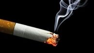 پاکت‌ های سیگار ایرانی تغییر می‌کنند / پیگیری حذف عکس میوه از پاکت های تنباکو