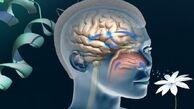 از دست دادن بلندمدت حس بویایی و چشایی در برخی مبتلایان کرونا