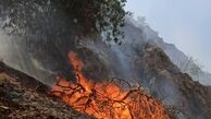 آتش سوزی جنگل های "دیل" گچساران همچنان ادامه دارد
