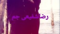 وقتی شفیعی جم و لولایی خیلی لاغر بودند+عکس