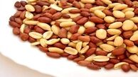 ورود بیش از 3 هزار تن بادام زمینی از کدام کشورها بوده است؟ 