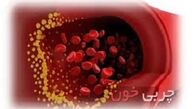 نشانه‌های بیماری مرگبار سپسیس