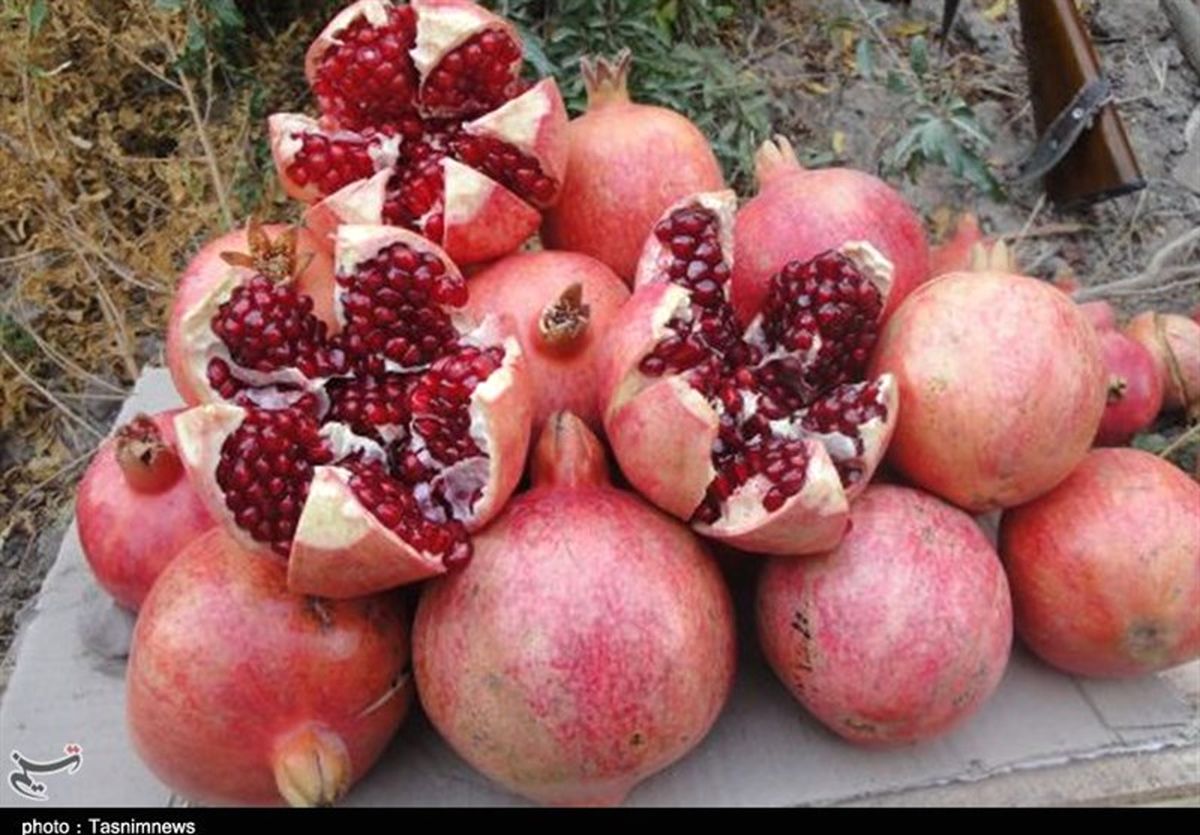 خوردن انار پس از "حجامت" خون را تصفیه می‌کند