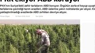 آمریکا از مزارع کشت مواد مخدر پ.ک.ک حفاظت می کند