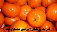 خرید پرتقال ایرانی ممنوع شد + علت