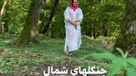 پروژه جنگلی‌ بهنوش بختیاری + عکس