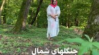 پروژه جنگلی‌ بهنوش بختیاری + عکس