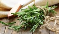 خواص رزماری چیست ؟ خاصیت های شگفت انگیز رزماری برای پوست و بدن