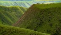تصویر فوق العاده رویایی از ترکمن صحرا + عکس