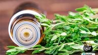 آشنایی با فواید و خواص آویشن و روغن آویشن