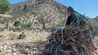 مستمری‌بگیران صندوق بیمه اجتماعی روستایی بسته جبرانی می‌گیرند