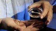 موفقیت محققان در پرورش استخوان از چربی