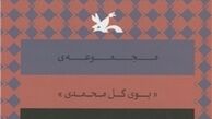  مجموعه «بوی گل محمدی» رونمایی می‌شود 