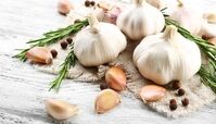 خوردن یک حبه سیر ناشتا چه فوایدی برای بدن شما دارد ؟