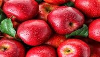 فواید بی نظیر سیب برای سلامتی و خواص منحصر به آن