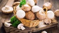 علائم اولیه مسمومیت ناشی از مصرف قارچ سمی 