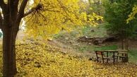 سفر به عاشقانه ترین جای دنیا + تصاویر
