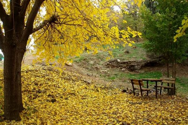 سفر به عاشقانه ترین جای دنیا + تصاویر