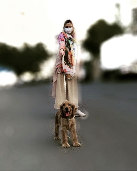 گشت و گذار ماهور الوند و سگش + عکس