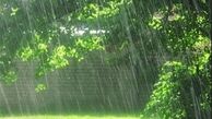 آسمان ایران از جمعه بارانی می شود