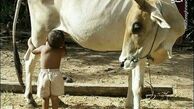 شیر خوردن کودک از منبع اصلی!