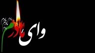 بهمن هاشمی عزادار شد