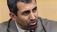 پور ابراهیمی:فعالیت گسترده باندهای مافیایی در سهام عدالت/ ۲ میلیون سهامدار از دنیا رفته‌اند