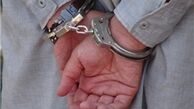 دستگیری 389 نفر از اراذل و اوباش/ انسداد تارنماهای مروج اوباش‌گری
