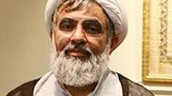رابطه ملت ایران با آمریکا رابطه گرگ و میش است