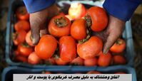 اتفاق وحشتناک به دلیل مصرف خرمالوی با پوست و انار !