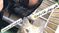 حیوان محبوب نفیسه روشن+عکس