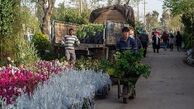 بازار فروش گل و گیاه در روزهای پایانی سال+تصاویر